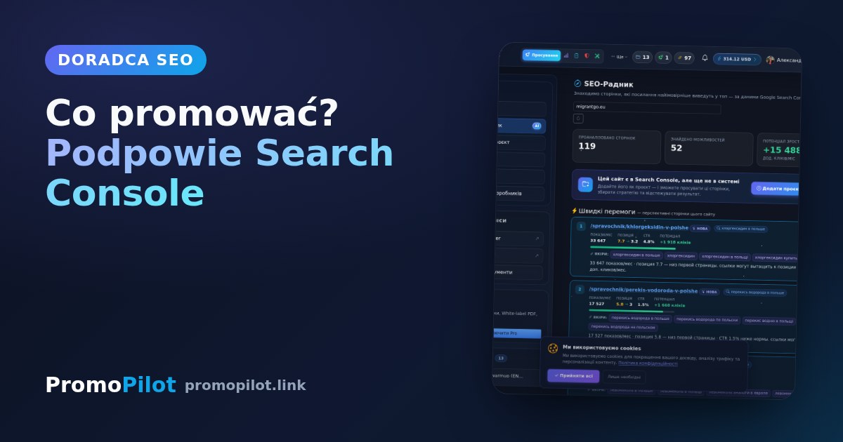 Co promować? Doradca SEO PromoPilot sam znajduje strony na progu topu